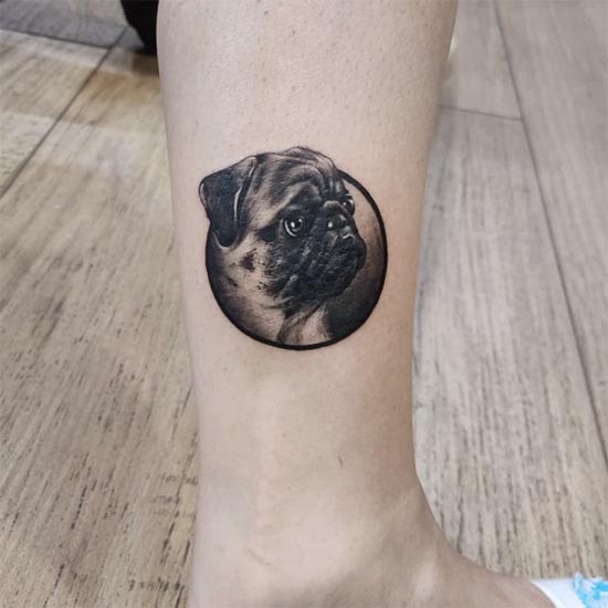 dog pug cute tattoo design girl inner ankle