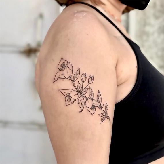 bougainvillea flower tattoo illustration female upper bicep