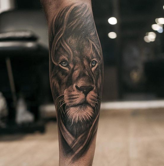 big lion tattoo design idea male full calf