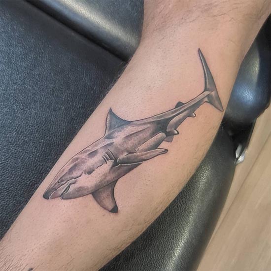 shark realistic tattoo design idea man inner calf