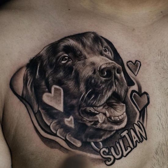 dog love with name sultan tattoo design male half chest