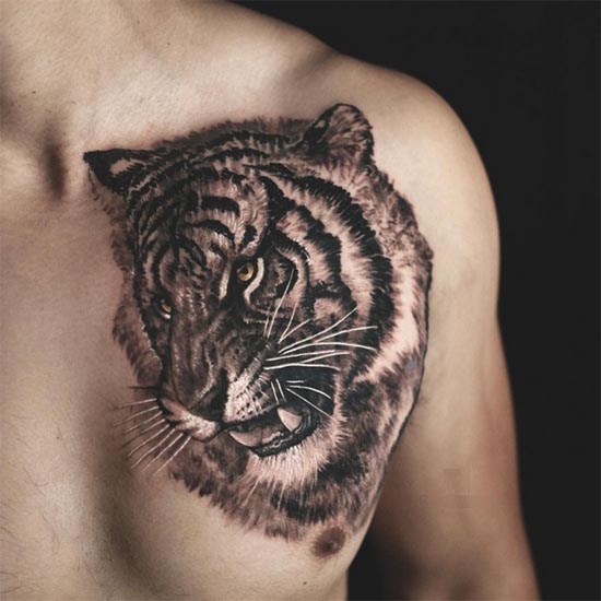 old school tiger looking down side face tattoo man half chest