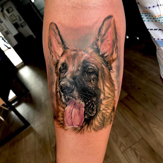 brown dog tattoo design upper forearm man