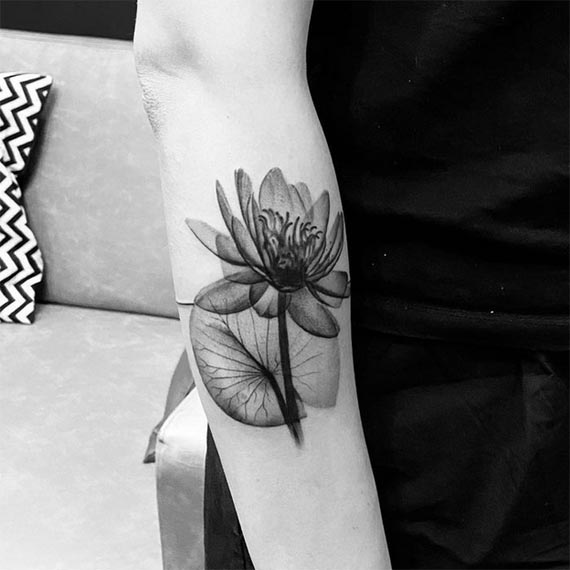 water lily delicate tattoo design woman outer upper forearm