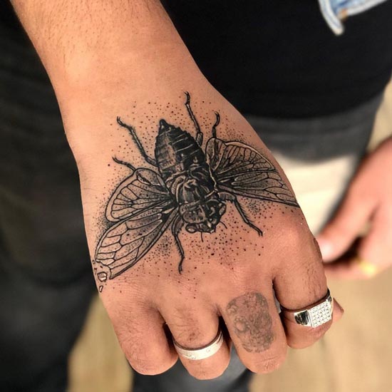 cicada insect moth tattoo design male hand