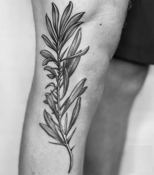 fern leaf tattoo design male side knee