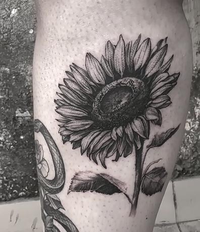 sunflower tattoo design woman leg calf black and grey