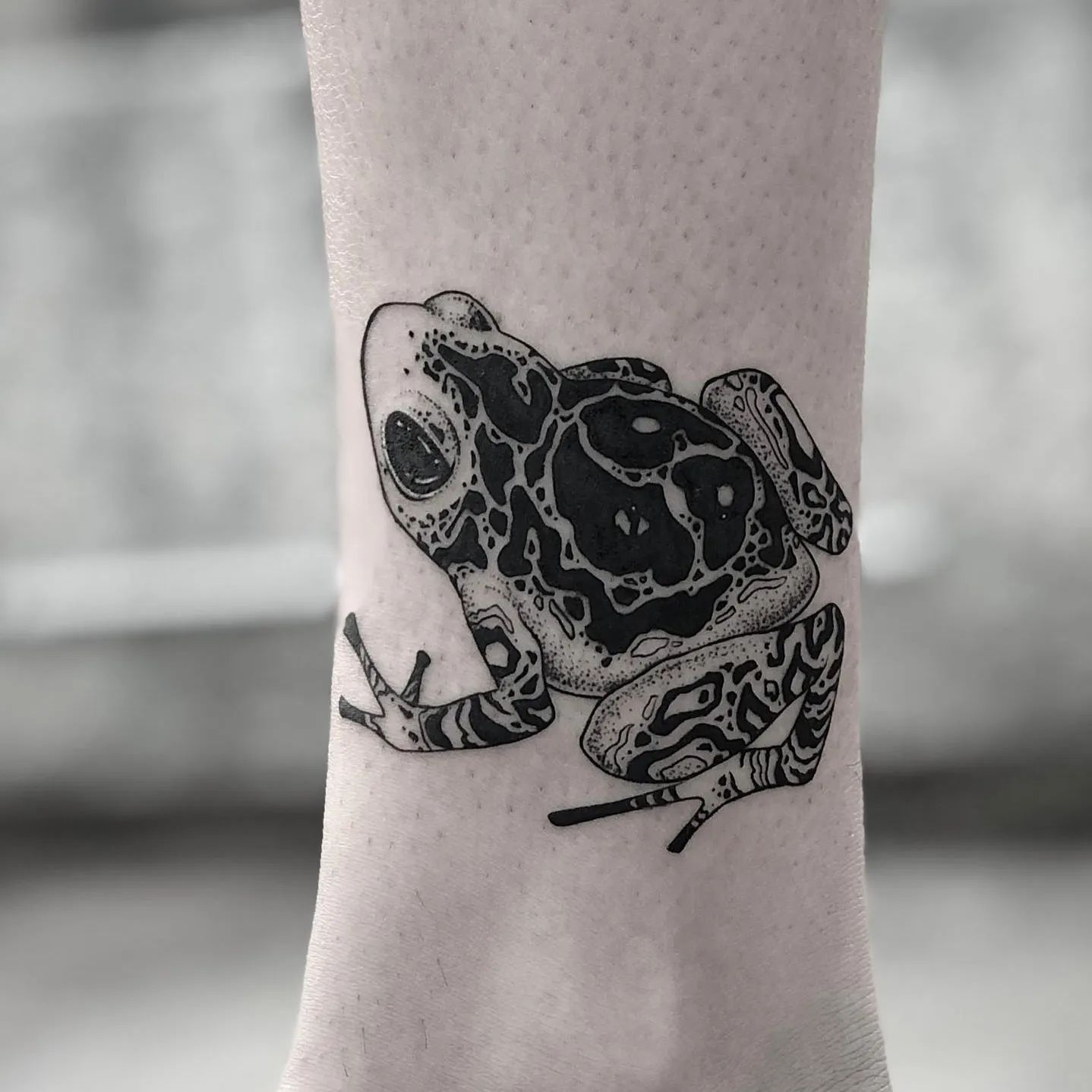 ankle tattoo wildlife frog silhouette