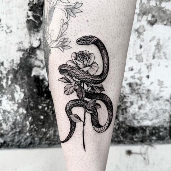 snake rose tattoo idea lady lower shin black and grey