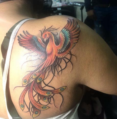 big phoenix tattoo design color female back shoulder