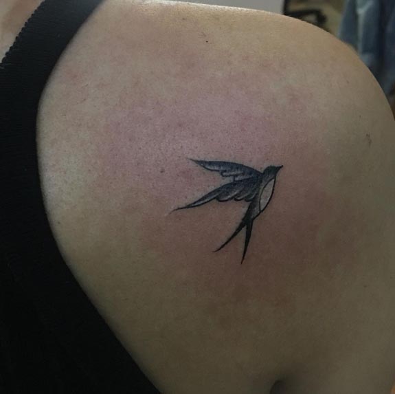 small swallow bird tattoo design female shoulder back