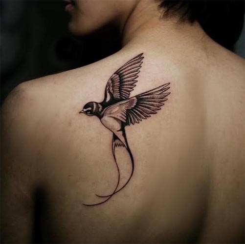 swallow bird tattoo design realistic man left shoulder back