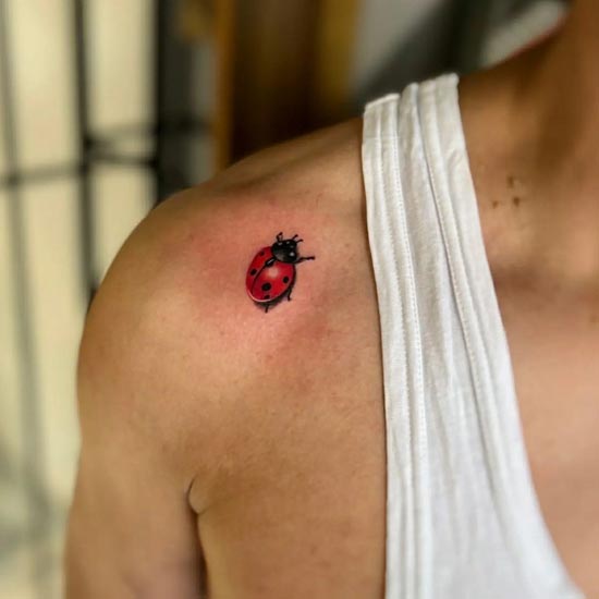 cute ladybug insects tattoo realistic man inner shoulder