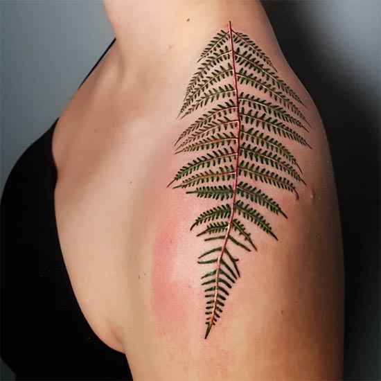 fern plant leaves tattoo design color woman upper left shoulder