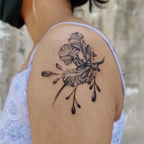 gulmohar tree floral tattoo design woman outer shoulder