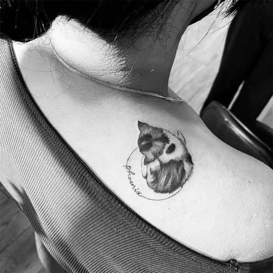 love memory kitten name phoenix tattoo design woman upper back shoulder