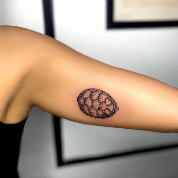 turtle shell small cute tattoo female inner tricep